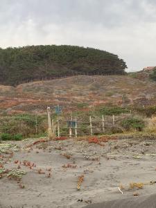 Fotografie z fotogalerie ubytování Liborio de Mar v destinaci Cáhuil