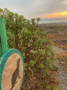 Fotografie z fotogalerie ubytování Liborio de Mar v destinaci Cáhuil