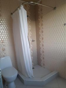 a bathroom with a toilet and a shower with a shower curtain at Yeganyans Guest House and Wine Yard in Ashtarak