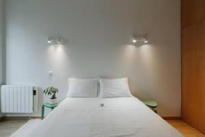 Postel nebo postele na pokoji v ubytování Downtown Apartment in Bolhão Porto