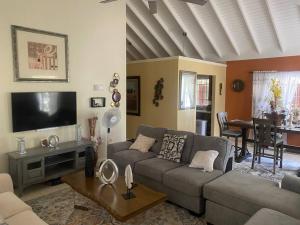 a living room with a couch and a tv at Island Style Villa in Richmond Estate Palms in Banks