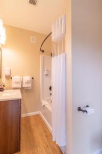 een badkamer met een douche en een wastafel bij Coyote Mountain Lodge in Estes Park