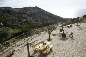Táj Show holiday homes közelében