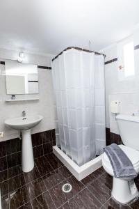 a bathroom with a shower and a toilet and a sink at Hotel Thetis in Tolo