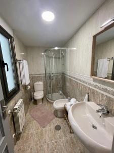 a bathroom with a sink and a shower and a toilet at Apartamento Jardín de San Feliz / Fontán in Oviedo