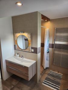 a bathroom with a sink and a mirror and a shower at Vila Rajska ptica in Bled