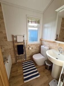 a bathroom with a toilet and a sink at 3 Bedroom Lodge with Sea Views -Salcombe Retreat in Soar