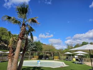 a palm tree and a swimming pool with a palm tree at Domaine de Bagard - Village de gîtes - nature et authenticité in Sauve +23 photos