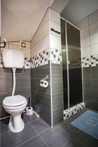 a bathroom with a toilet and a shower at Paris Night in Niš