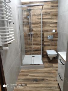 bagno con doccia e servizi igienici. di Willa Jasna a Krynica-Zdrój