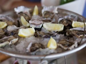 a plate of oysters with lemon slices on top at Studio Balaruc-les-Bains, 1 pièce, 4 personnes - FR-1-503-33 in Balaruc-les-Bains