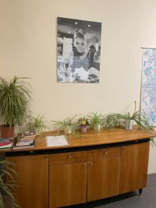 Fotografia z galérie ubytovania Hostel POPLAWOK vo Varšave