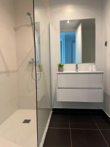 uma casa de banho com um chuveiro, um lavatório e um espelho. em Leonor Seaview Apartment no Funchal