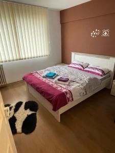 a bedroom with a bed and a dog laying on the floor at Apartament SweetHome Piața Unirii in Iaşi