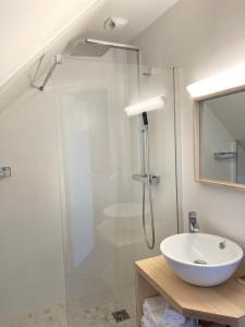 een badkamer met een glazen douche en een wastafel bij Le Relais de la Pointe du Van in Cléden-Cap-Sizun