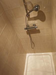 a shower in a bathroom with a sink at La sittelle des aguesses in Andenne