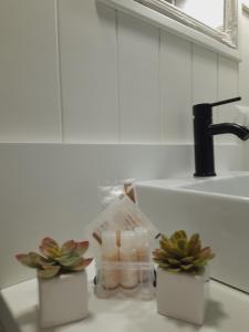 a bathroom with a sink and two jars and plants at Il Cavallo a Dondolo in Abbadia San Salvatore +23 photos