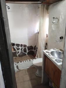 y baño con aseo y lavamanos. en Los Riscos Antigua Cabaña Toba en Loncopué