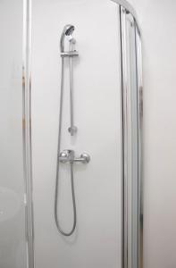 a shower in a bathroom with a shower head at Apartamentos Centro in Albacete