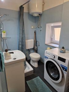ein Badezimmer mit einer Waschmaschine und einem WC in der Unterkunft Apartment Niko in Piran