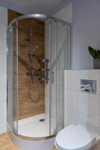 a shower stall with a toilet in a bathroom at Apartament Graniczna 6B in Bydgoszcz