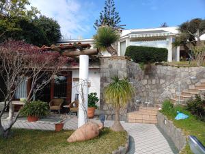 una casa con un grosso maiale seduto nel cortile di La Pergola a Ischia Altre 17 foto