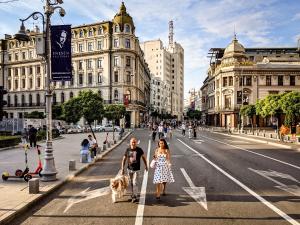 Un uomo e una donna che portano a spasso un cane per strada di Downtown Victoria Studios By CityBookings a Bucarest