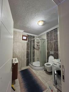a bathroom with a shower and a toilet and a sink at Golden horn view apartment in Istanbul