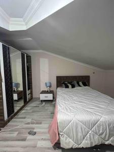 1 dormitorio con 1 cama grande y espejo en Golden horn view apartment, en Estambul