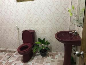een badkamer met een rood toilet en een wastafel bij Menara Villa in Kamburugamuwa