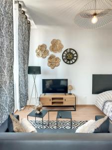 uma sala de estar com um sofá e uma televisão em Magnifique studio hyper centre gare 2pers wifi em Saint-Quentin