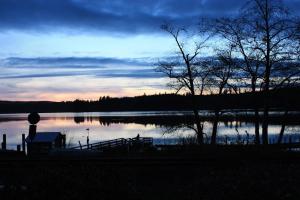 a view of a lake with a tree and a sunset at Siltcoos Station in Siltcoos +30 photos