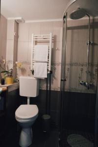 a bathroom with a toilet and a shower with towels at Vista Studio Brasov in the Heart of the Old City Center in Braşov