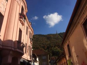 a view of a mountain from between two buildings at Vista Studio Brasov in the Heart of the Old City Center in Braşov