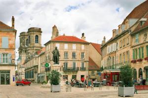 een straat met gebouwen en een standbeeld van een man bij Appartement cosy centre ville in Langres