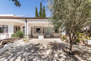 a white house with a tree in the driveway at Dream House in Noto