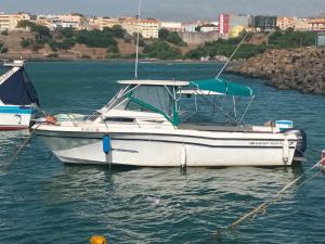 Naturlandskabet i nærheden af lejligheden