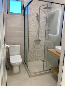 een badkamer met een douche, een toilet en een wastafel bij Villa Cellesina in Ulcinj