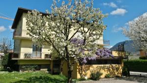 una casa con un albero da fiore di fronte di Casa Ferrari Monica CIPAT 22032 a Calceranica al Lago