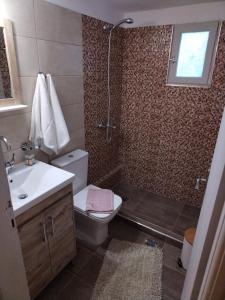 y baño con aseo, lavabo y ducha. en Litsa's House Platanias, en Agia Paraskevi
