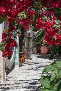 a stone walkway with red flowers and a fence at Natural Mystic Hostel in Costa da Caparica