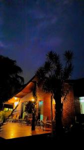 a house with a palm tree in front of it at night at Hostel Trópico de Capricórnio - Vermelha do Centro in Ubatuba