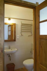 uma casa de banho com um WC, um lavatório e um espelho. em Chata Sanna em Lesko