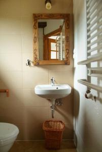 a bathroom with a sink and a mirror and a toilet at Chata Sanna in Lesko