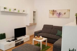 a living room with a couch and a tv at Relax Apartment Vienna City Center in Vienna
