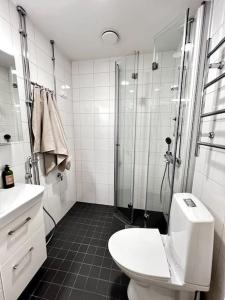 a bathroom with a shower and a toilet and a sink at Studio Mansku in Helsinki