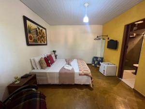 1 dormitorio con 1 cama grande y baño en Pousada Recanto dos Leões, en Pirenópolis