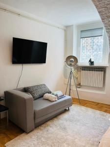 Телевизор и/или развлекательный центр в Downtown secret apartment