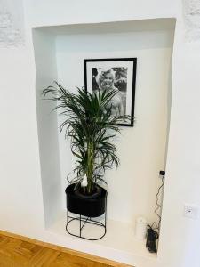 Фотография из галереи Downtown secret apartment в Загребе