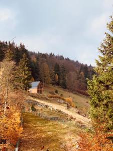 a barn in the middle of a field with trees at Apartament Na Szlaku in Sowa